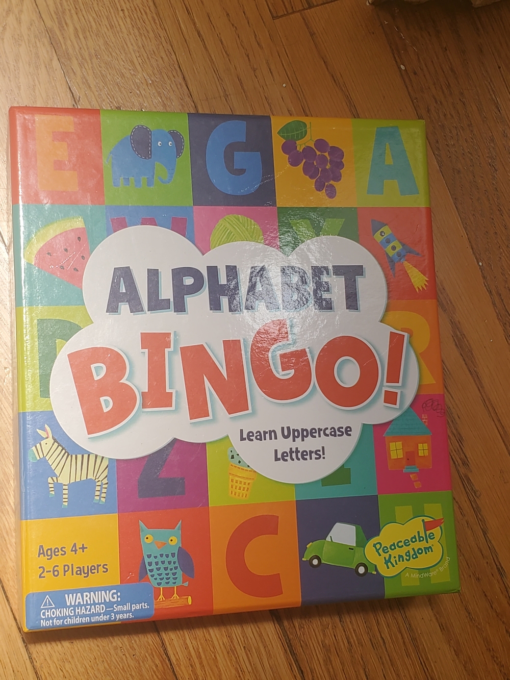 Alphabet Bingo! - Colorful Alphabet Learning Game (Multicolor)